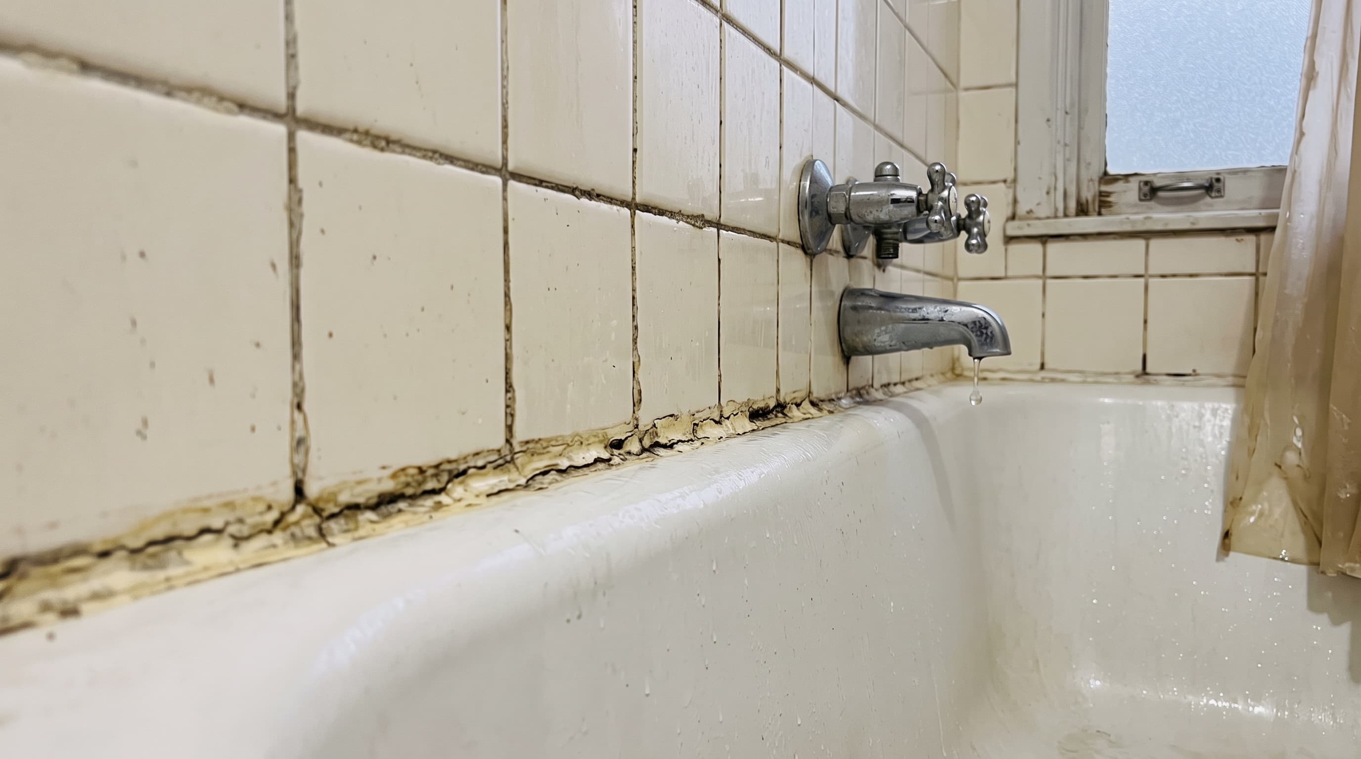 Highland Creek Bath Refresh — before